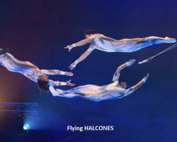 Furiose Artistik & spielerische Unterhaltung