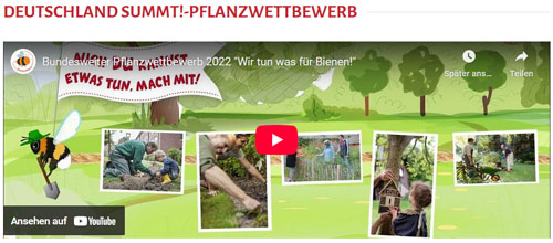 Pflanzen